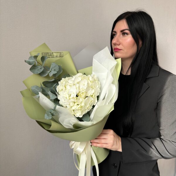 Гортензия Оливковом оформлении