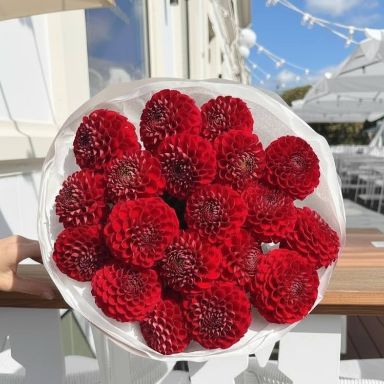 3403f0ec-752a-428d-8290-4e9e5af2771e