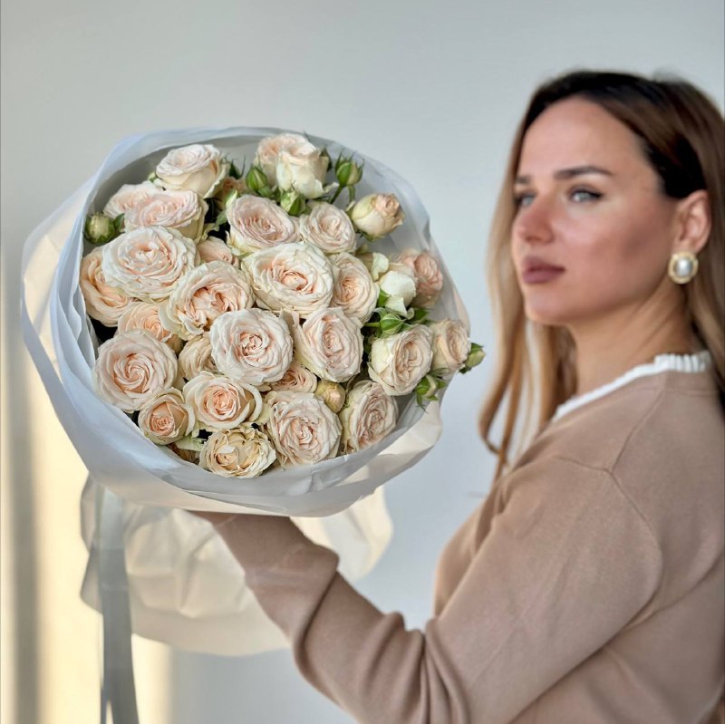 03031dc5-a2c1-4151-b760-4f411da24d91