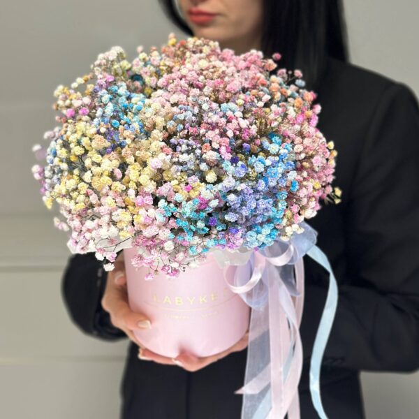 Радужная гипсафила в боксе